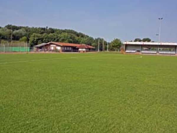 Image - Clemens Holthaus Stadion Copyright Meike Kluska