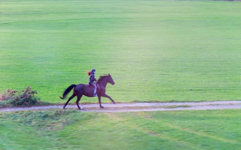 Image - Sportlich mit Pferd
