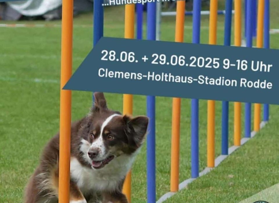 Image - 13. Rheinenser Dog Challenge