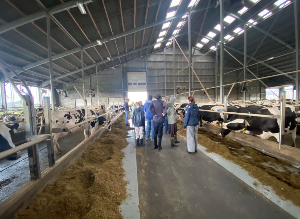 Image - Hof Krümberg – ein Betrieb auf sehr hohem Niveau für Tier und Umwelt