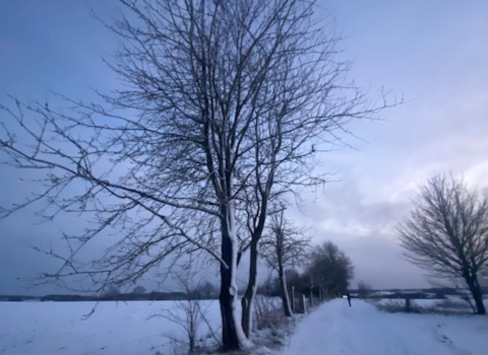 Image - Winterwanderung mit der kfd Rodde