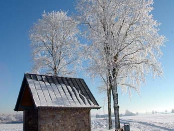 Image - Maria Unterwegs Im Winter Copyright Copyright Dieter Wennemer