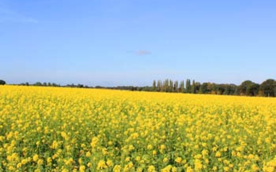 Image - Landwirte als Netzwerker