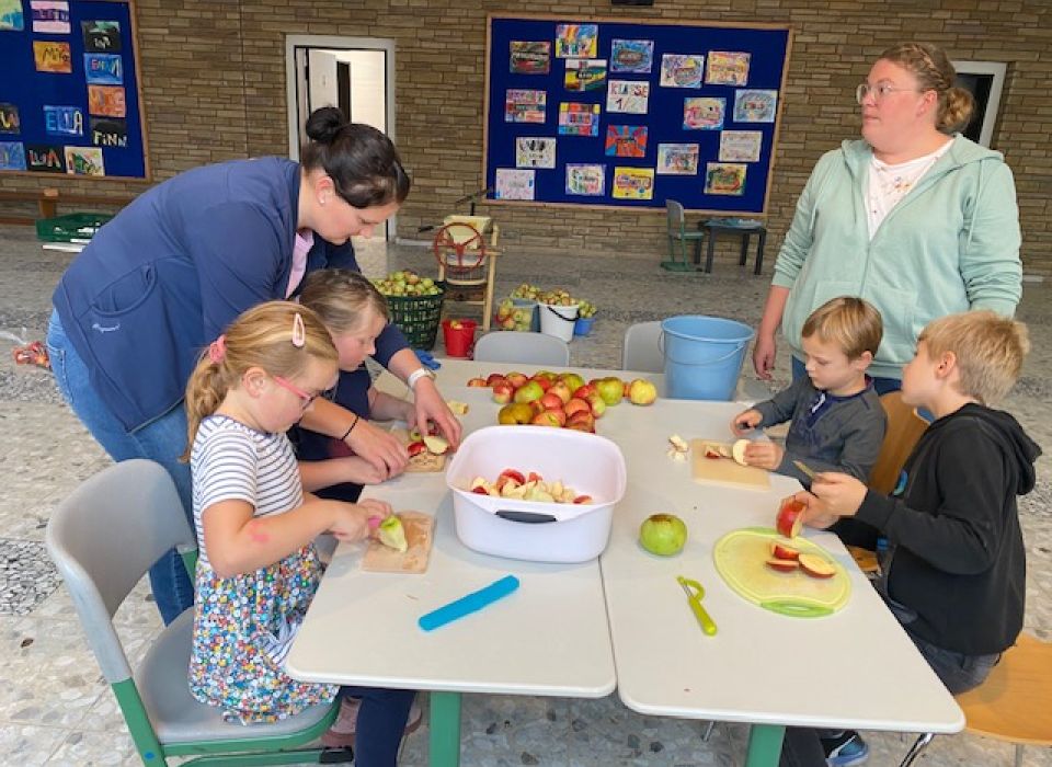 Image - Apfelsaft frisch gepresst – ein echter Genuss! Aktion in der Rodder Grundschule
